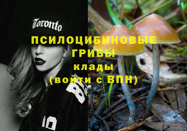 молекула духа Балабаново