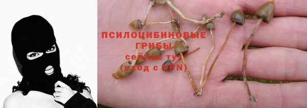 молекула духа Балабаново