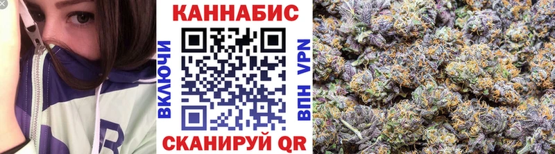 как найти наркотики  Курильск  блэк спрут рабочий сайт  Бошки Шишки план 
